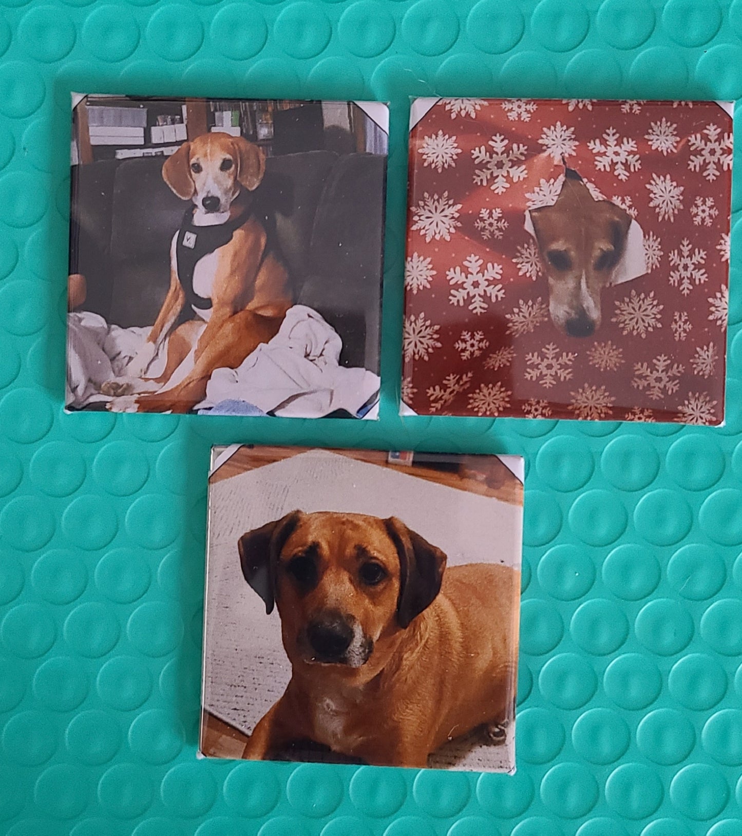Custom Photo Magnets - Set of 6